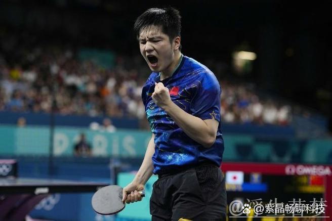 樊振东双胜助上海地产险胜山东鲁能 3-2锁定胜局